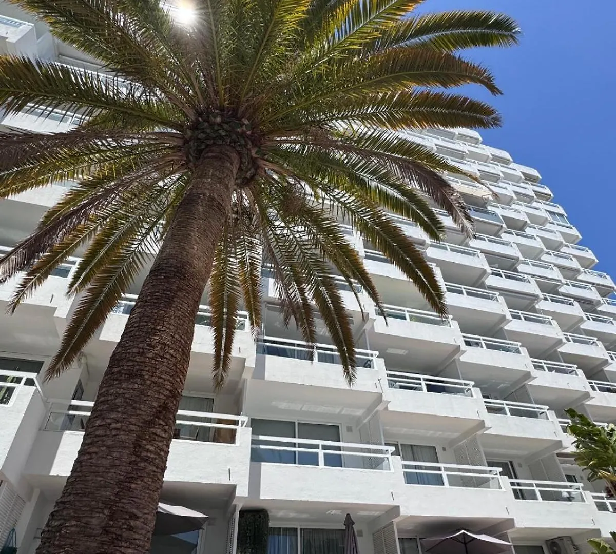 Paraiso Ponderosa, Lovely Estudio Las Americas Playa Fanabe Apartment